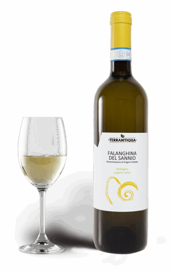 Falanghina del Sannio Doc Biologico
